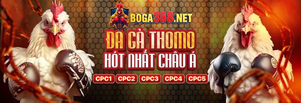 Hướng dẫn cá cược đá gà 33win33 app